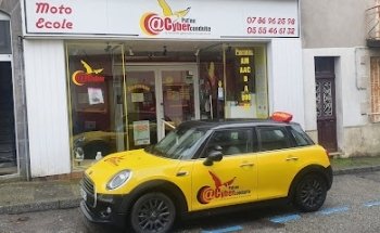 Pat'ou Cyber Conduite