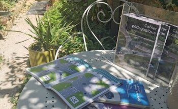 Driving School Driving Euro 2000