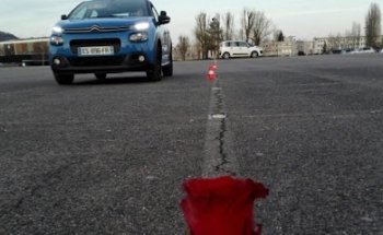 School Driving Conducteur