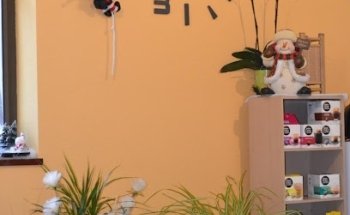 Conduite From A To Z