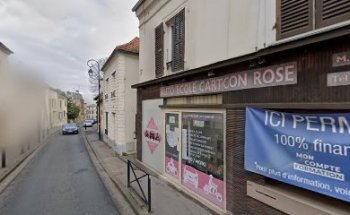 Driving School Carton Rose