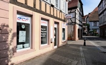 ECF - French Driving School