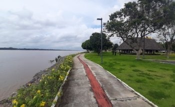 Universidade Federal do Pará (UFPA)