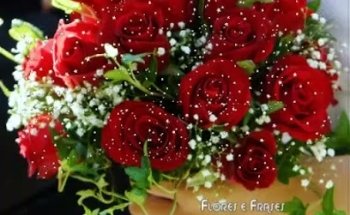 Auto Moto Escola Roma