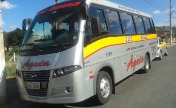 Auto e Moto Escola Águia