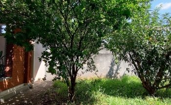 CFC POSITIVO - Jandira