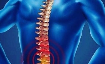 Despachante - PCD CNH ESPECIAL - Novaflex Isenções