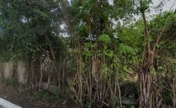 Driver Training Center Raquel