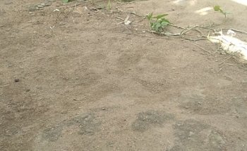 Auto Escola São Francisco