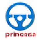 Autoescuela Princesa