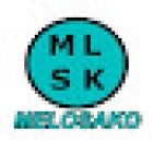 Autoescuela Melosako