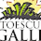 Autoescuela La Gallega