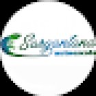 Sargantana autoescola