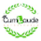 Autoescuela CumLaude Delicias