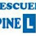 Autoescuela Espinel S L