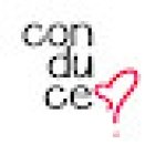 Autoescuela Conduces?