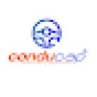 Icapchile - Driving school