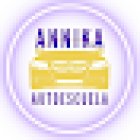 AUTOESCUELA AnniKa - Ituzaingo