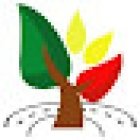 Academia de Choferes Prado