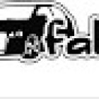 Fahrschule fahrbereit Felix Hotz