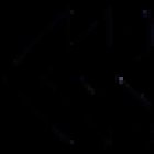 Rijschool Safe Forward - Temse - Sint-Niklaas - Brugge