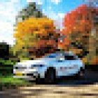 Nienke van Hoof Rijopleiding