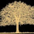 Major Oak Safety Training Limited