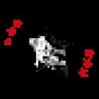 Motocross, Enduro, Dirt-Bike, Desert ride and Dune bashing Dubai | MX-Academy