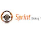 Sprint Driving School