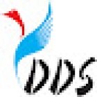 Divine Driving School (DDS)