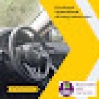 Elizabeth- Specialised driving instructor