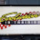 Evolution In Training