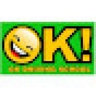 OK Driving School Sydney