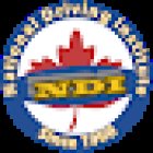 National Driving Institute