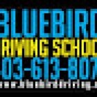 Driving school calgary