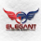 Elegant Driving Academy Limited