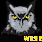 DriveWise Driver Training