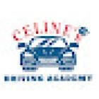 Celine’s Driving Academy