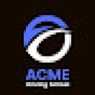 Acme Driving School
