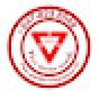 Yield Driving School - Mississauga Best Affordable Driving School | Driving Lessons & Classes