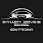 Dynasty Driving School