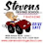 Stevens Driving School, LLC
