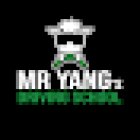Mr Yang Driving School