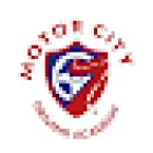 Motor City Driving Academy, LLC.