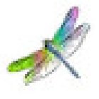 Dragonfly Driving School