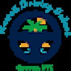 HAWAII DRIVING SCHOOL