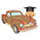 NY Driving Instructor