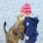 Xpert Driving School