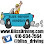 BLISS Driving Academy LLC