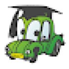 Bay Area Driving School